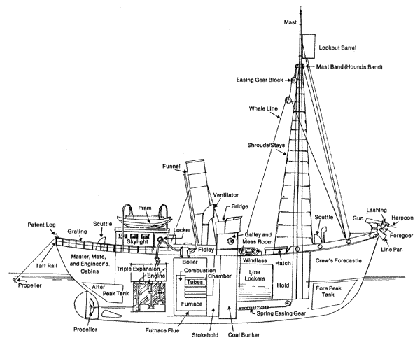Schéma d'un navire baleinier moderne