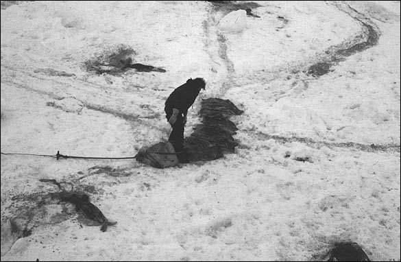 Stockage de peaux de phoques, nord-est de Terre-Neuve (1972)
