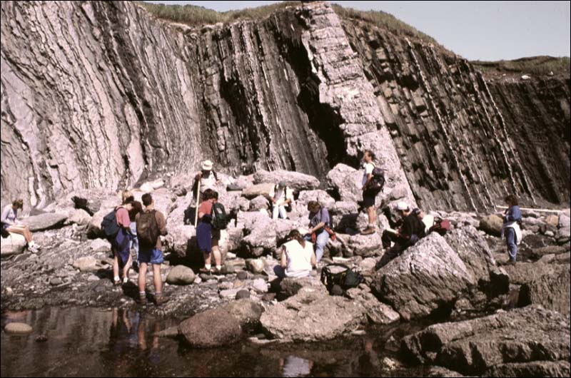 Strates de calcaire et de shale, Green Point, parc national du Gros-Morne