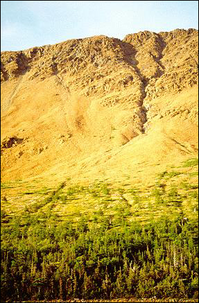 Tablelands, parc national du Gros-Morne