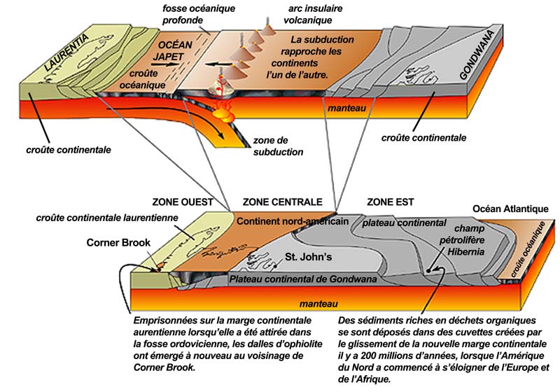 Terre-Neuve il y a 490 millions d'années et aujourd'hui Terre-Neuve il y a 490 millions d'années et aujourd'hui