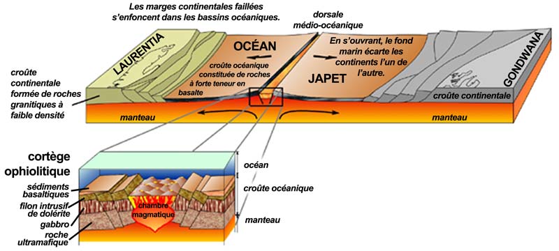 Terre-Neuve au Cambrien moyen