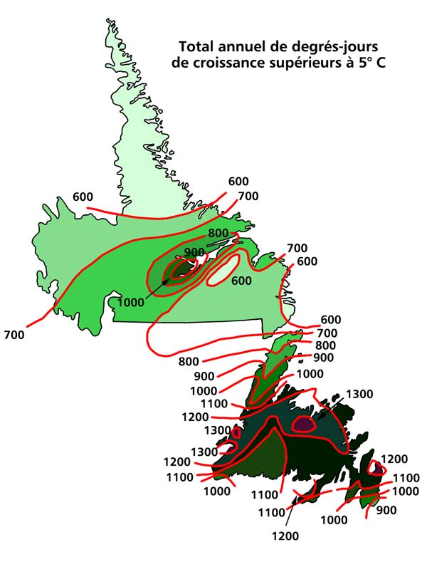Total annuel de degrés-jours de croissance supérieurs à 5° C