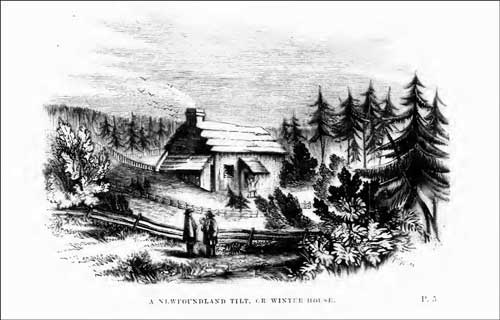 Cabane (ou hutte) terre-neuvienne Cabane (ou hutte) terre-neuvienne