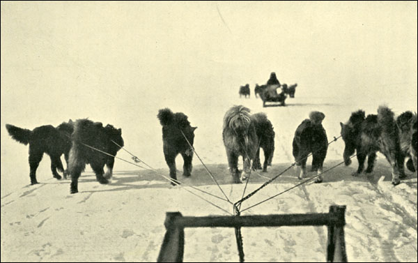 Photographie prise à partir d'un traîneau, vers 1908-1909 Photographie prise à partir d'un traîneau, vers 1908-1909