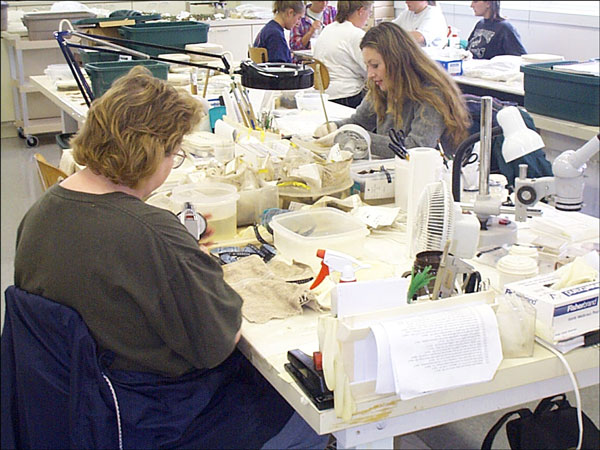 Le laboratoire de conservation sur le site de Ferryland