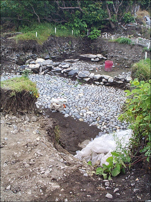 Pavé en cailloutis de la colonie d'Avalon datant du 17e siècle Pavé en cailloutis de la colonie d'Avalon datant du 17e siècle