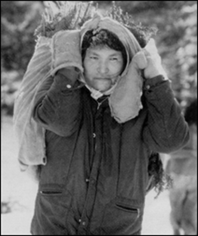 Femme innu portant des branches d'arbres