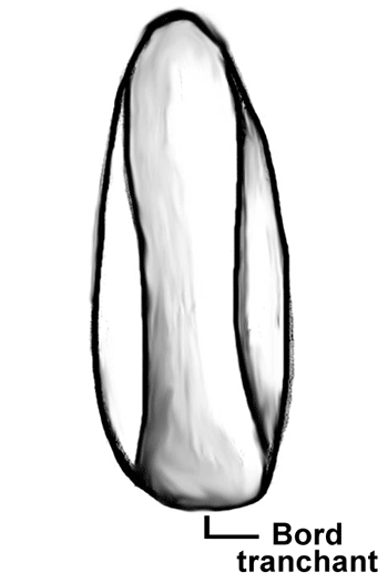 Schéma d'une gouge Schéma d'une gouge