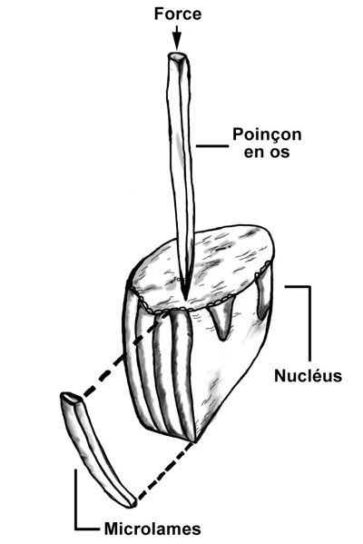 Nucléus à microlames Nucléus à microlames