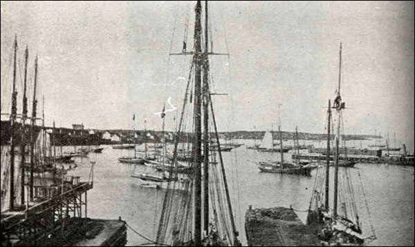 Port Union, s.d. Port Union, s.d.