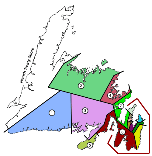 Limites des circonscriptions de Terre-Neuve lors de l'élection de 1869 