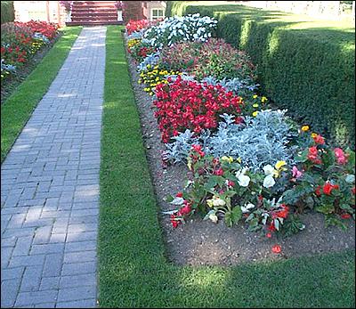 Allée du parterre