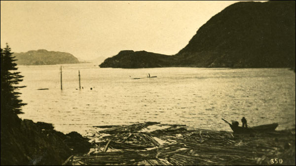 Une goélette coulée par le tsunami, 1929