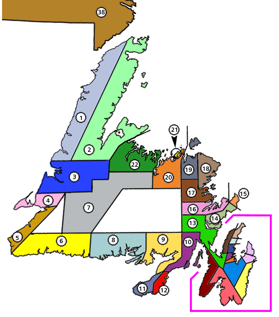 Limites des circonscriptions, 1946
