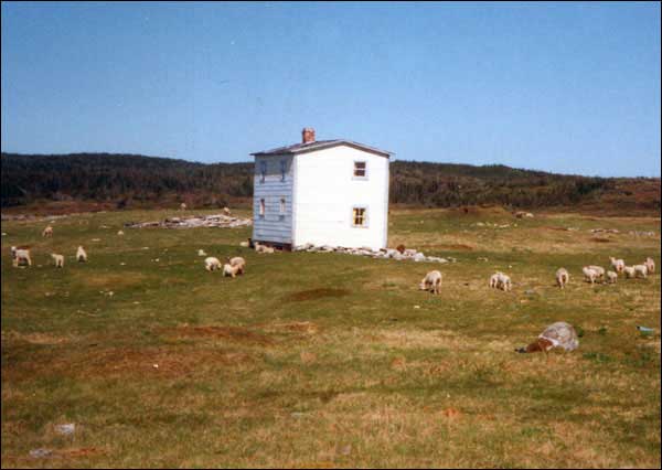 La maison abandonnée de Bernard Cluett, Cape Cove, vers 1990