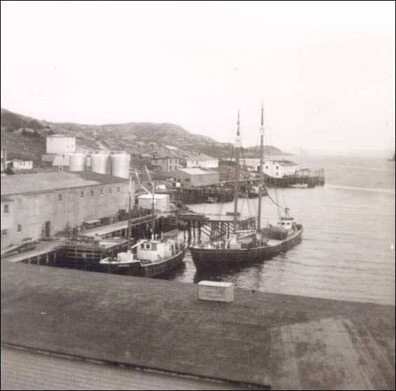 Le quai Wareham, Harbour Buffett, baie Placentia, T.-N.-L, 1960 Le quai Wareham, Harbour Buffett, baie Placentia, T.-N.-L, 1960