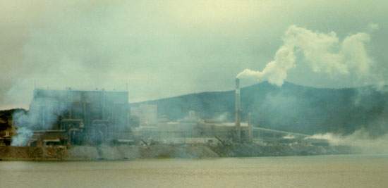 L'usine de production de phosphore d'ERCO à Long Harbour, vers 1974