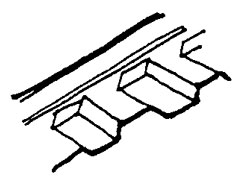 DENTICULE (masc.) DENTICULE (masc.)