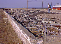 Site des ruines de la station Pinetree