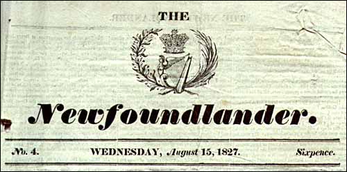 Newfoundlander Newfoundlander