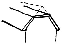 TRONQUÉ TRONQUÉ