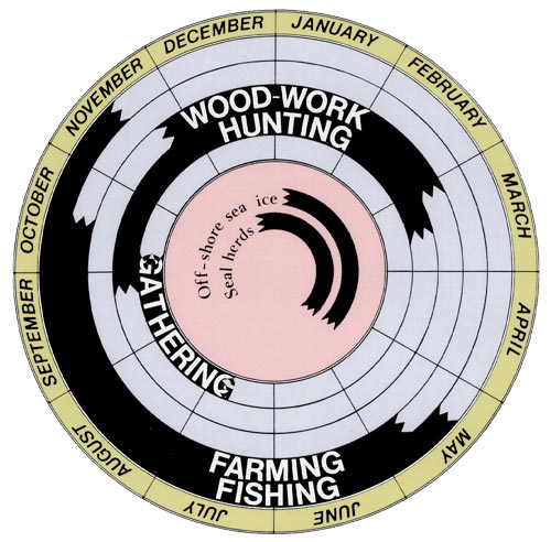 Activity cycle of a subsistence household in rural northeastern Newfoundland