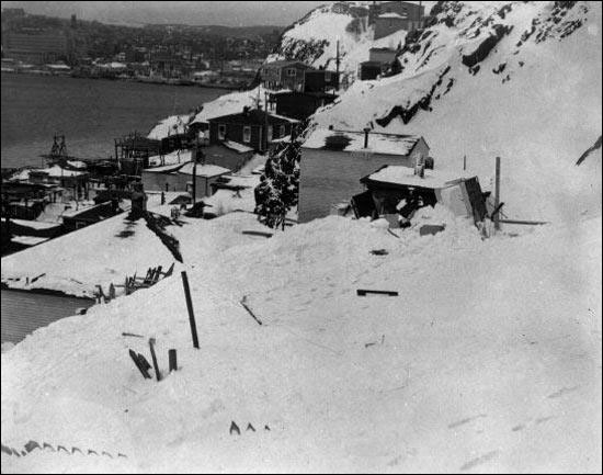 Avalanche, the Battery, St. John's Avalanche, the Battery, St. John's