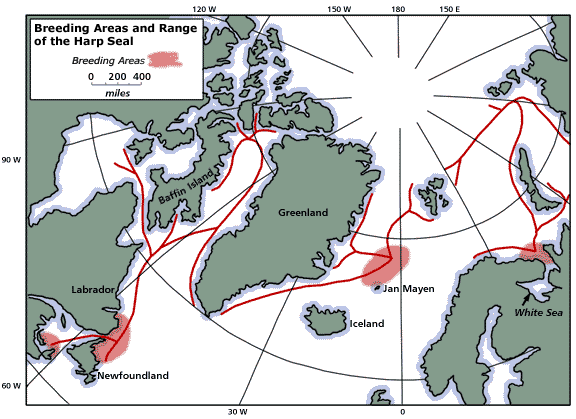 Breeding Areas and Range of the Harp Seal