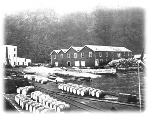 The Cabot Steam Whaling Company's 2nd Whaling Station, Balaena, Hermitage Bay, 1903