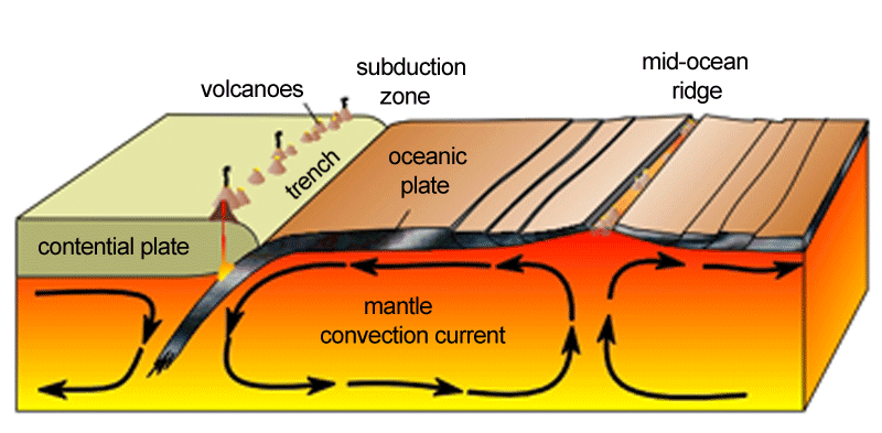 Earth's Mantle in Motion Earth's Mantle in Motion