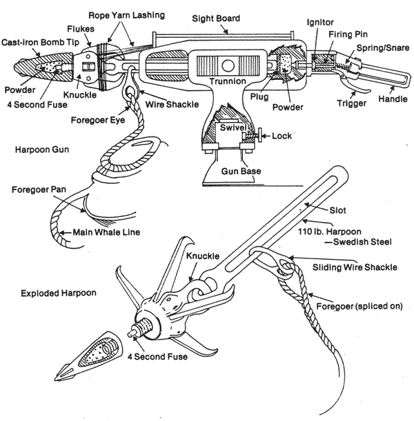 Diagram of a Harpoon Gun and Exploded Harpoon