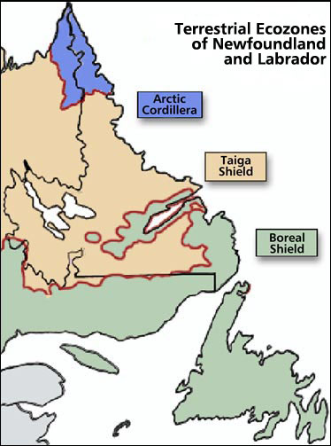 Ecozones of Newfoundland and Labrador