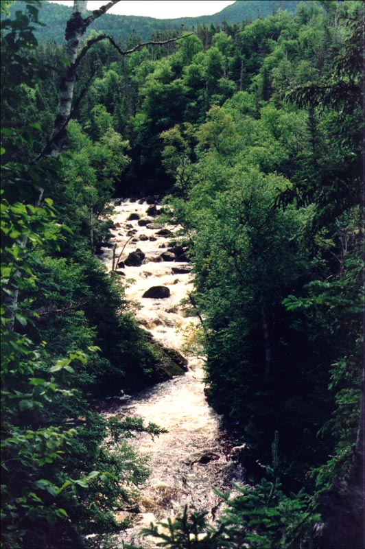 Stream located on Gros Morne Mountain trail, Gros Morne National Park Stream located on Gros Morne Mountain trail, Gros Morne National Park