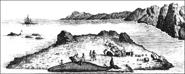 17th Century Drawing of Men Harvesting a Whale