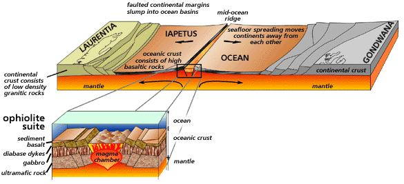 Newfoundland in the Middle Cambrian