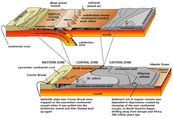 Newfoundland 490 Million Years Ago and Today