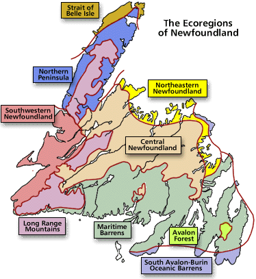 Ecoregions of Newfoundland