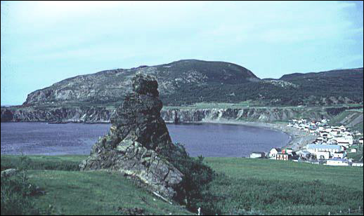 Emerged sea stack and wave-cut platform, Western Newfoundland