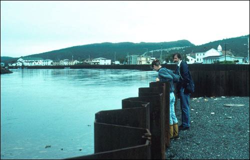 Sea Wall at Placentia