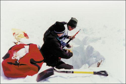 Alpine Level Snow Survey, Gros Morne National Park