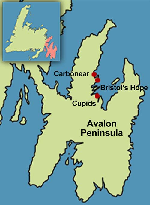 Avalon Peninsula Map