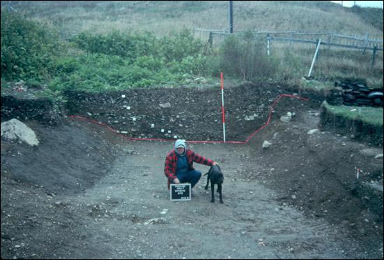 Defensive Ditch Defensive Ditch