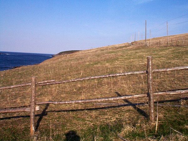 The Ferryland Downs
