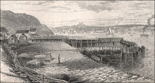 Drying fish, St. John's, NL, n.d.