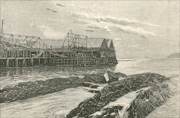 French Fishing Rooms, Cape Rouge Harbour, N.E. Coast