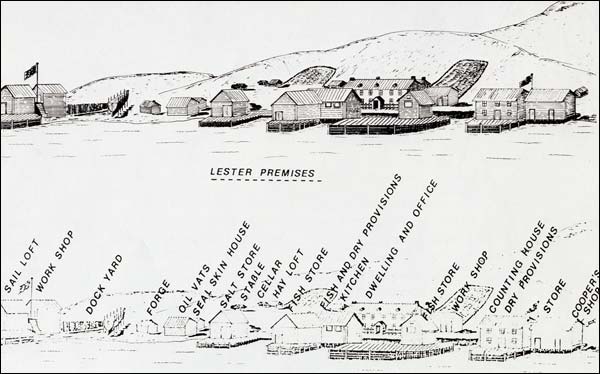 Lester Premisies at Trinity, ca. 1800 Lester and Company premises at Trinity in the 1800's