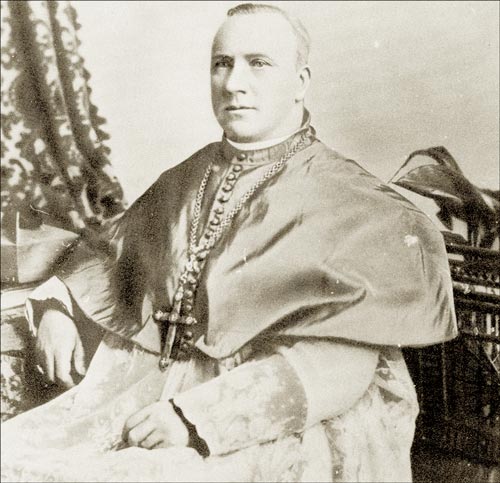 Michael Francis Howley, Roman Catholic bishop of St. John's