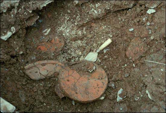 Milk Pans from the Byre Midden