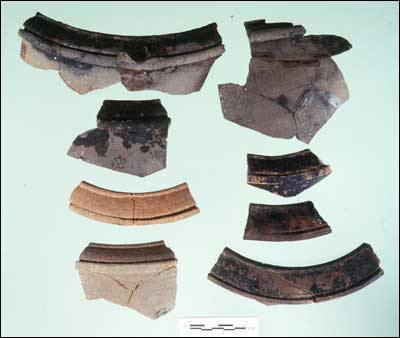 Rim Sherds of Cooking Pots (Fld-323)